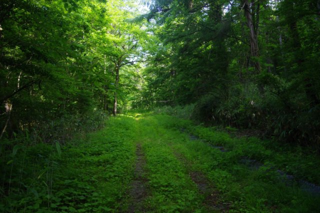 IMGP5645_R