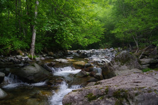 IMGP5676_R