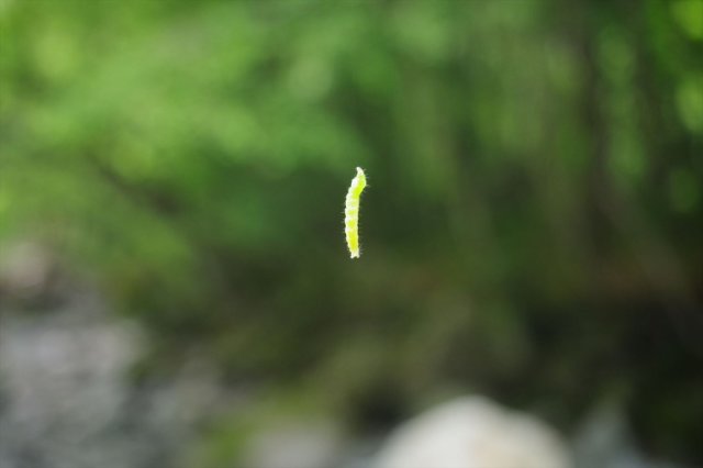 IMGP5732_R