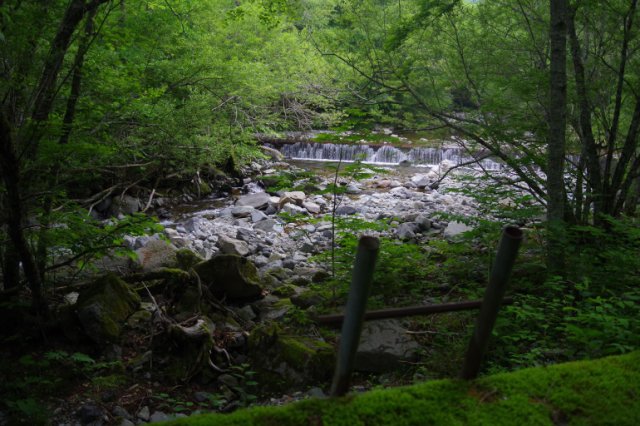 IMGP5824_R
