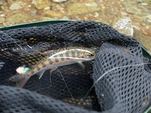 DSCF0269_R