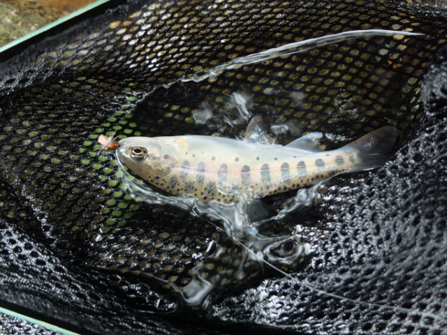 DSCF0297_R