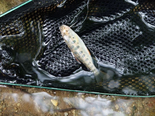 DSCF0298_R