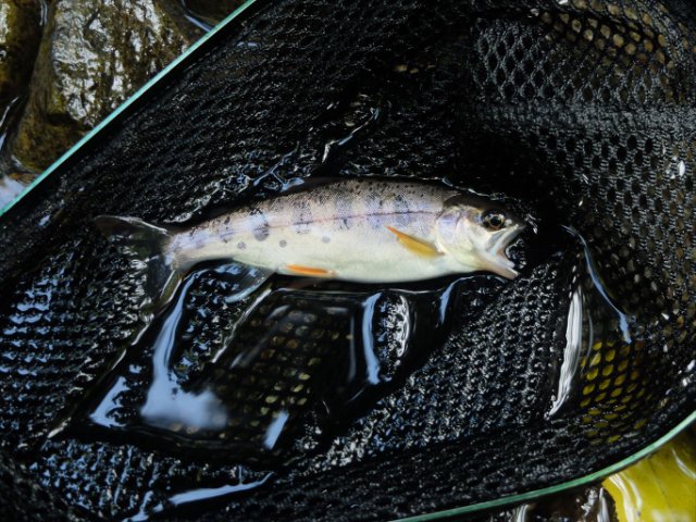 DSCF0320_R