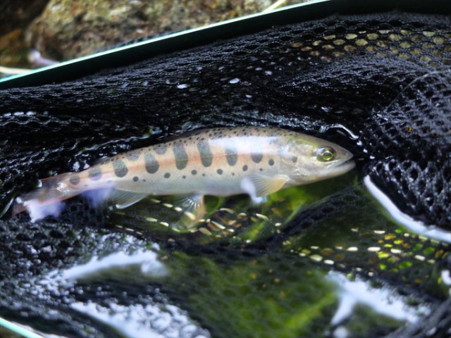 DSCF0341_R