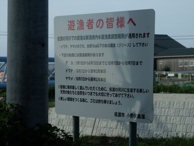 DSCF0353_R