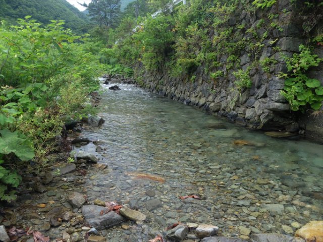 DSCF0404_R