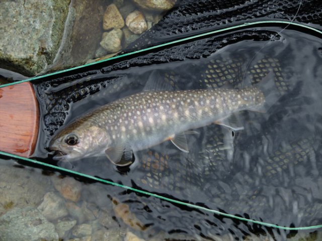 DSCF0413_R