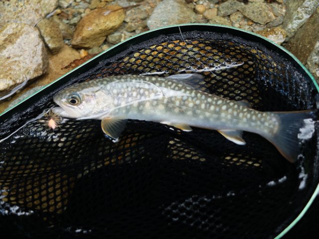 DSCF0436_R