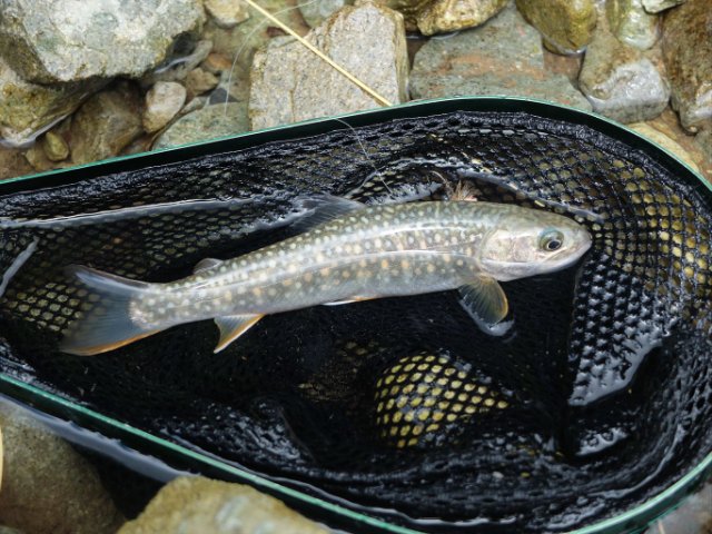 DSCF0446_R