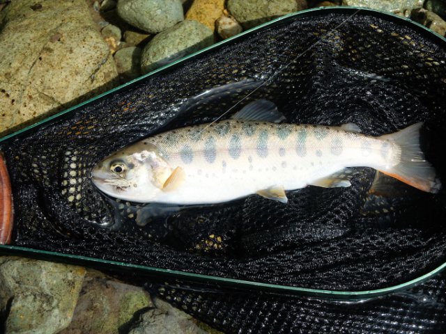 DSCF0469_R