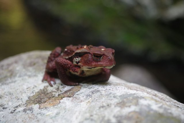 IMGP5980_R