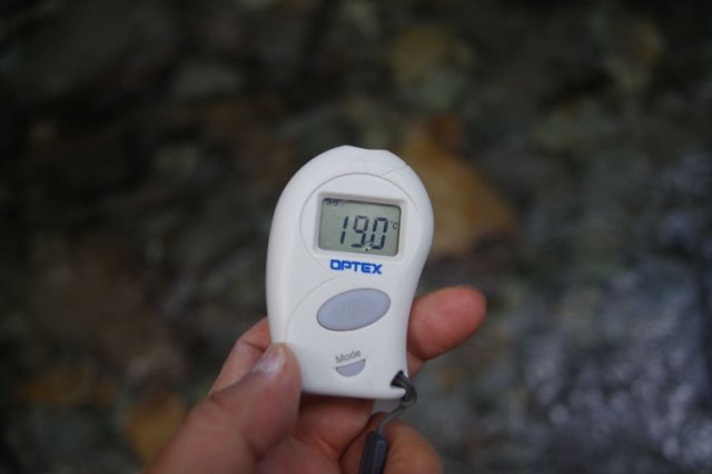 IMGP6041_R