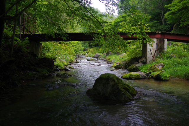 IMGP6065_R