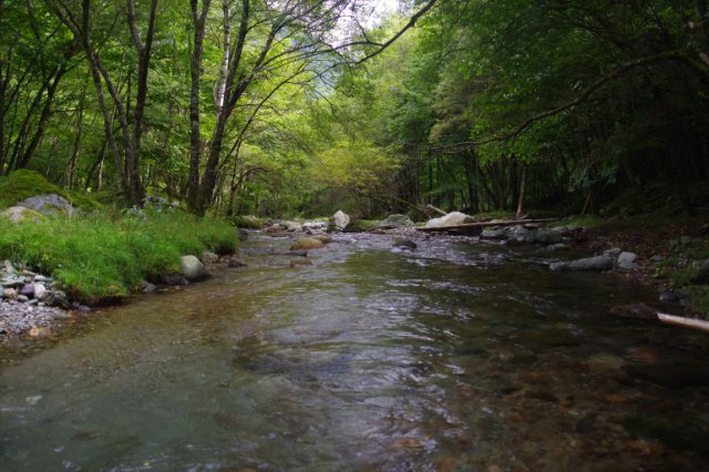 IMGP6206_R