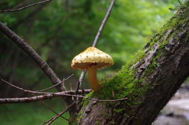 IMGP6209_R