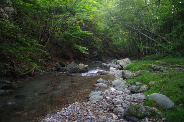 IMGP6218_R