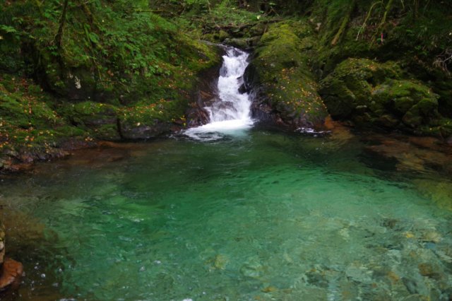 IMGP6311_R