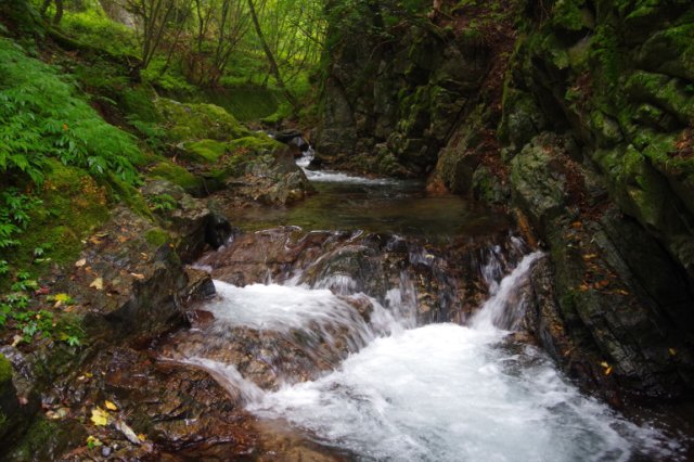 IMGP6471_R