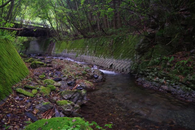 IMGP6473_R