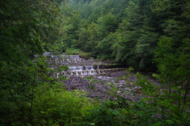 IMGP6480_R