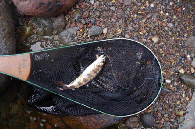 IMGP6507_R