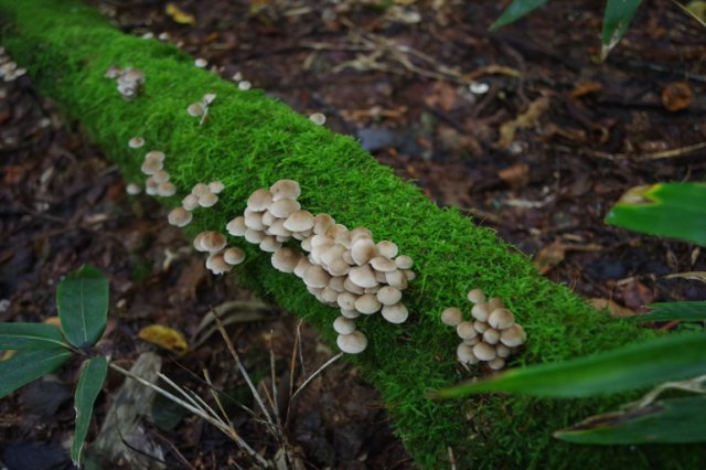 IMGP6524_R