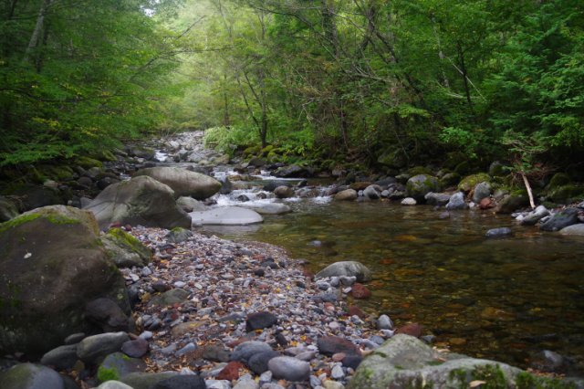 IMGP6554_R
