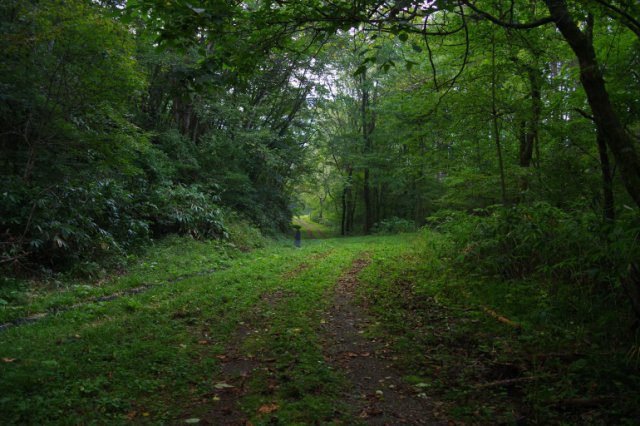 IMGP6582_R