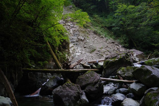 IMGP6696_R