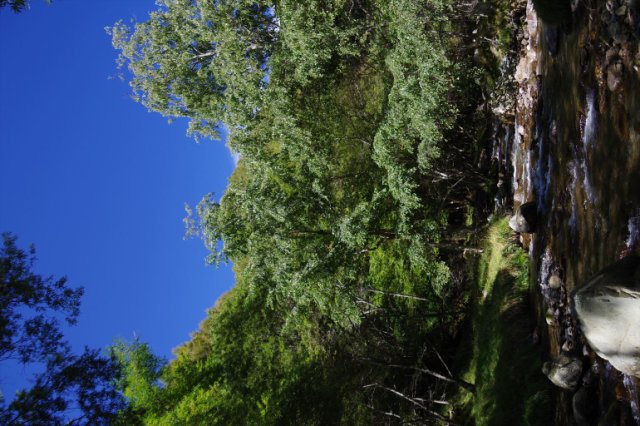 IMGP6731_R