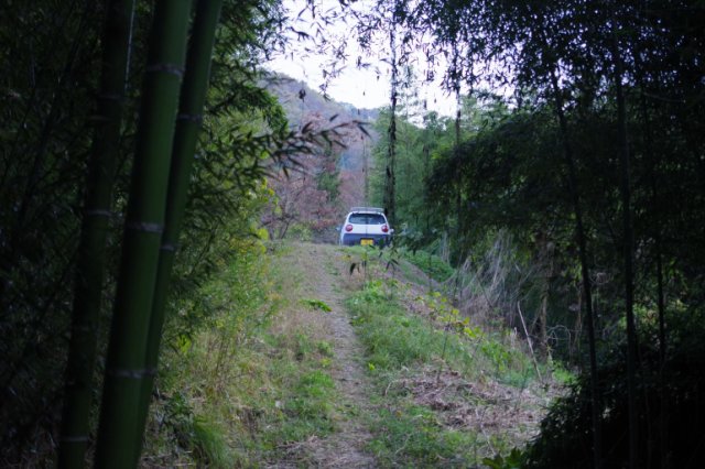 IMGP6961_R