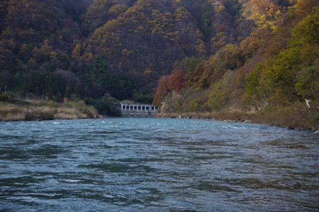 IMGP7005_R