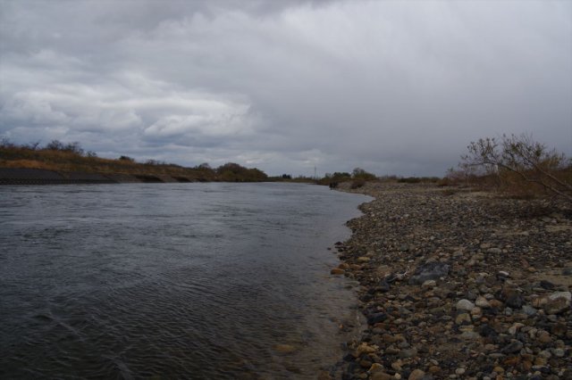 IMGP7133_R