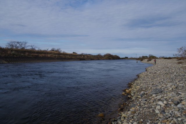IMGP7166_R