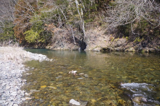 IMGP7658_R