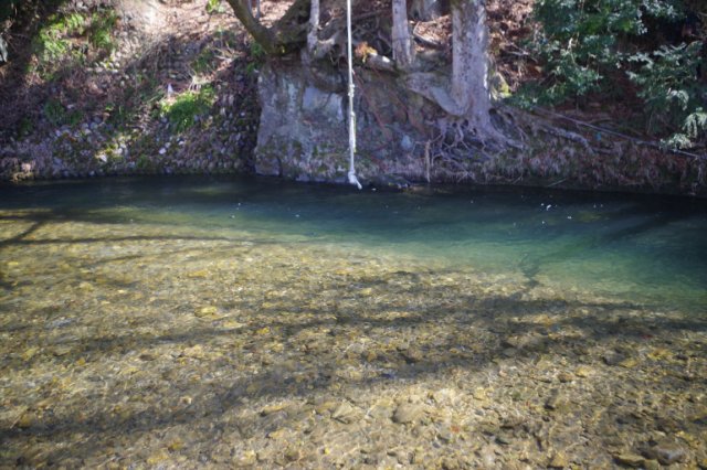 IMGP7667_R