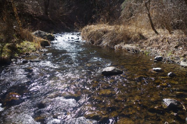 IMGP7678_R