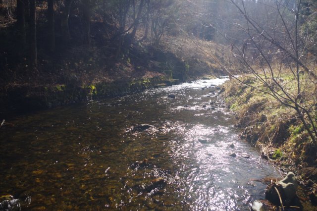 IMGP7686_R
