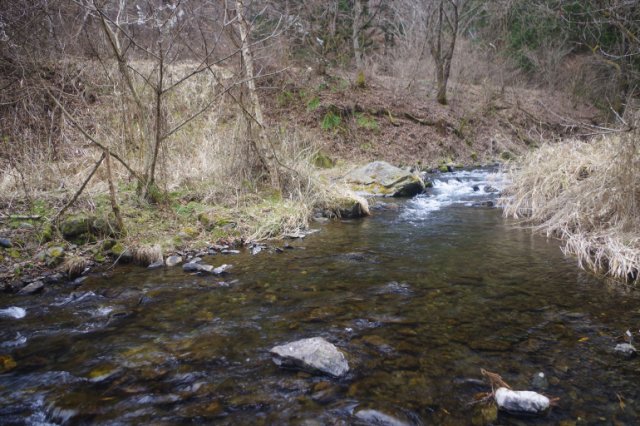 IMGP7714_R