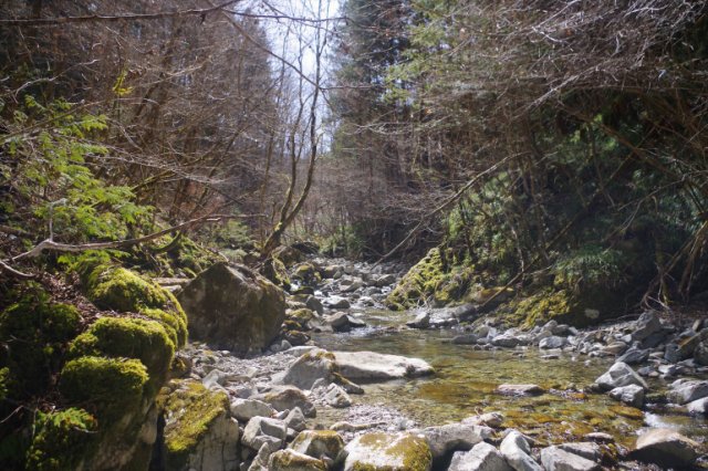 IMGP7886_R