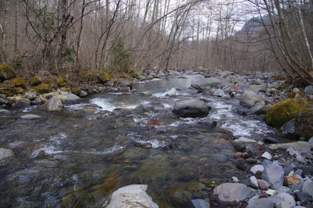 IMGP8130_R