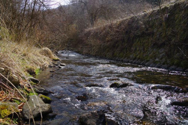 IMGP8156_R