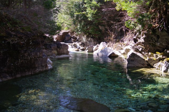 IMGP8316_R