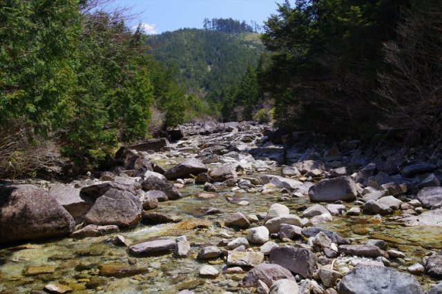 IMGP8451_R