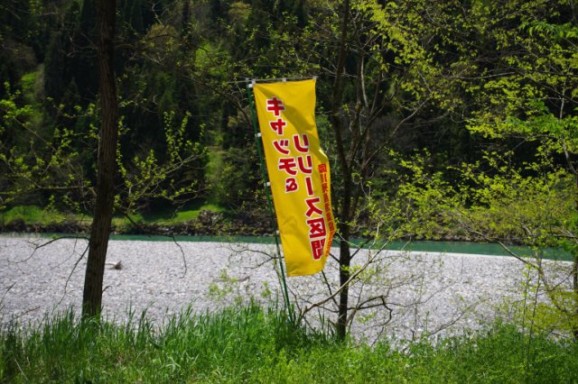 IMGP8652_R