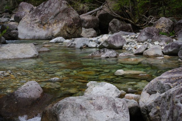 IMGP8954_R