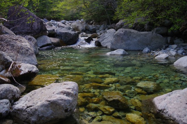 IMGP8990_R