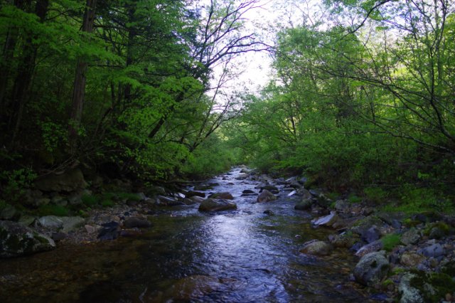 IMGP9039_R