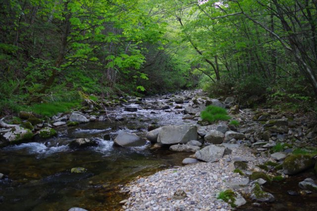 IMGP9131_R